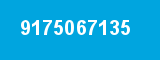 9175067135