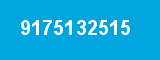 9175132515