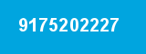 9175202227