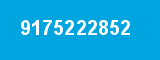 9175222852