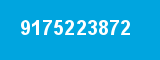9175223872 9175223872