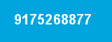 9175268877