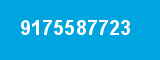 9175587723