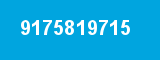 9175819715