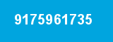 9175961735