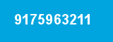 9175963211