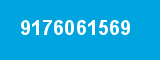 9176061569