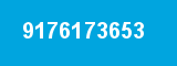 9176173653