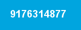9176314877