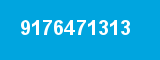 9176471313