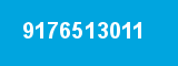 9176513011 9176513011