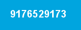 9176529173 9176529173