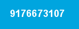 9176673107
