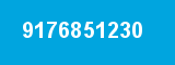 9176851230