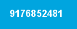 9176852481
