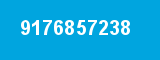 9176857238
