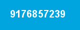 9176857239