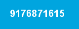 9176871615