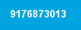 9176873013 9176873013