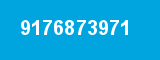 9176873971