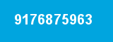 9176875963