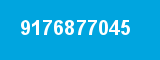 9176877045