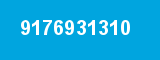 9176931310