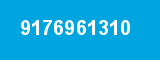 9176961310