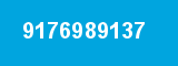 9176989137