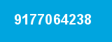 9177064238