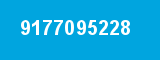 9177095228