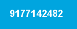 9177142482