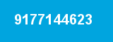 9177144623