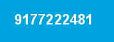 9177222481