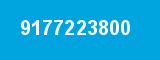 9177223800