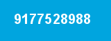 9177528988