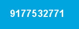 9177532771