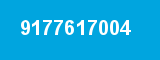 9177617004 9177617004