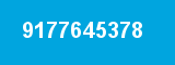 9177645378