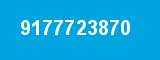 9177723870