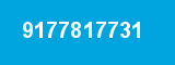 9177817731