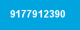 9177912390