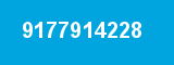 9177914228