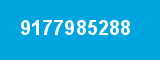 9177985288