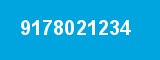 9178021234