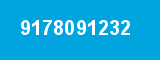 9178091232