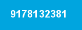 9178132381