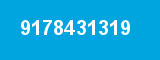 9178431319