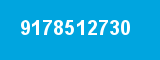 9178512730