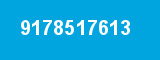 9178517613